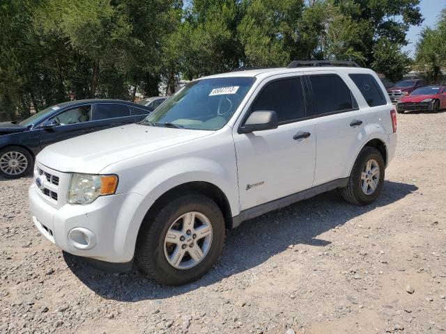 FORD ESCAPE HYB 2009 1fmcu49309kc39101