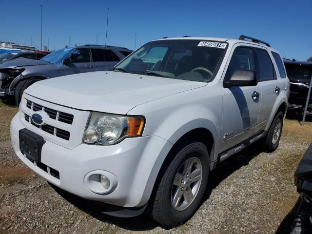 FORD ESCAPE 2009 1fmcu49309kc39647