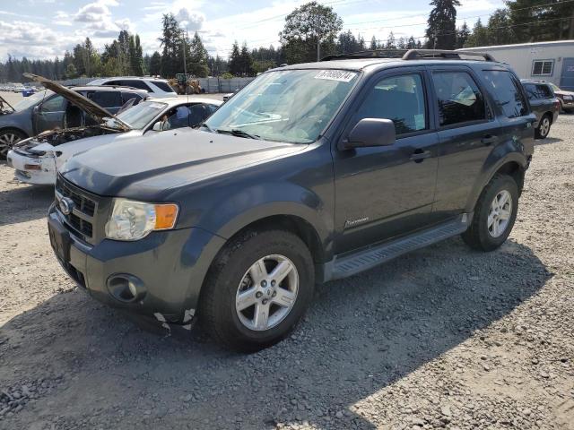 FORD ESCAPE HYB 2009 1fmcu49389kc04189