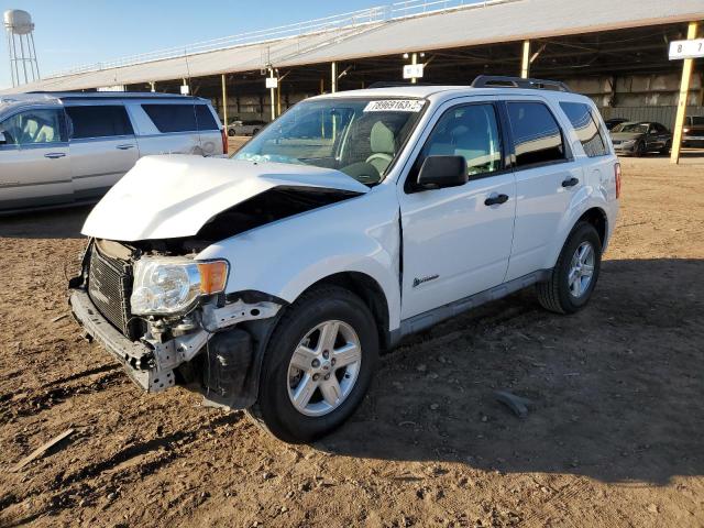 FORD ESCAPE 2009 1fmcu49389kc41047