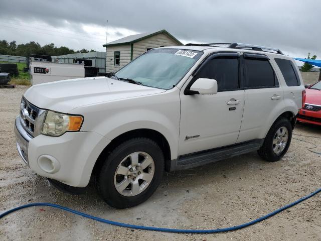 FORD ESCAPE HYB 2009 1fmcu493x9kc13492