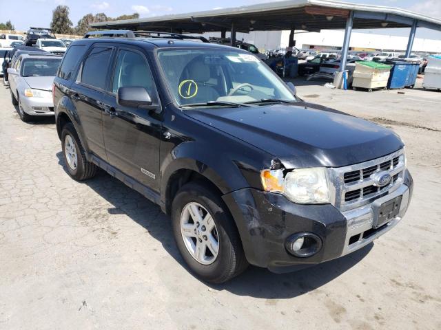 FORD ESCAPE HEV 2008 1fmcu49h18kd33062