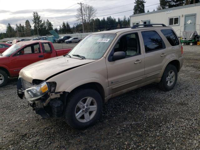 FORD ESCAPE 2007 1fmcu49h47ka23695