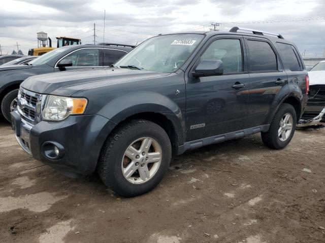 FORD ESCAPE 2008 1fmcu49hx8ka34332