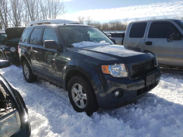 FORD ESCAPE HYB 2010 1fmcu4k30akb55309