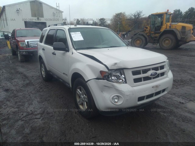 FORD ESCAPE 2010 1fmcu4k32akd21572