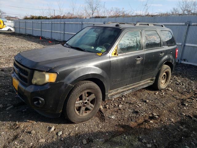 FORD ESCAPE 2011 1fmcu4k32bkb80245