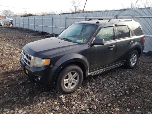 FORD ESCAPE 2011 1fmcu4k32bkc32523