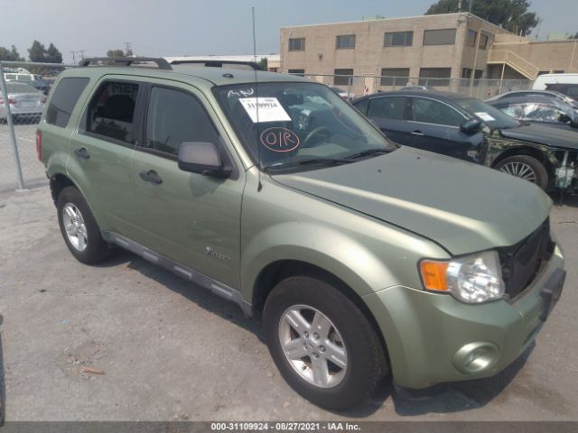 FORD ESCAPE 2010 1fmcu4k36akb31791