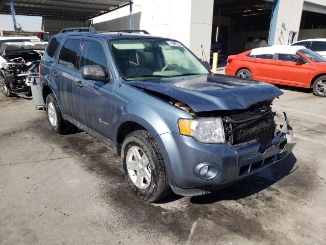 FORD ESCAPE HYB 2011 1fmcu4k37bkc19556