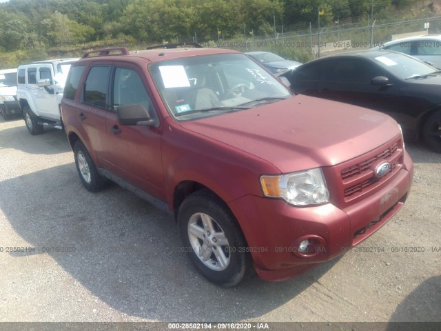 FORD ESCAPE 2012 1fmcu4k37ckb05994