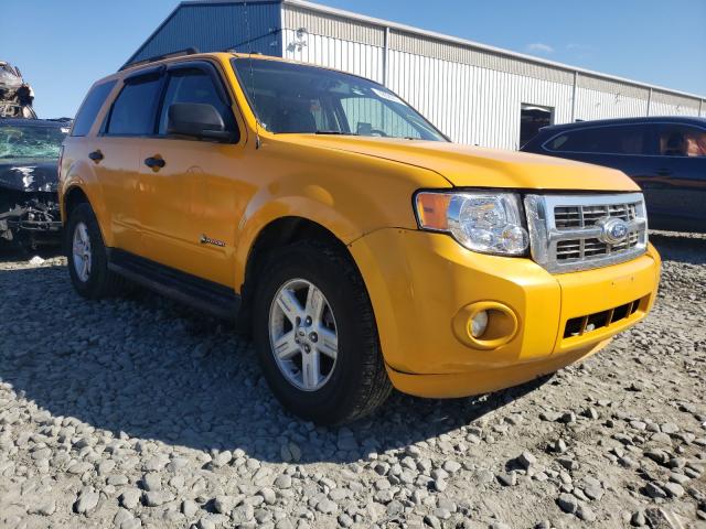 FORD ESCAPE HYB 2010 1fmcu4k38akc35666