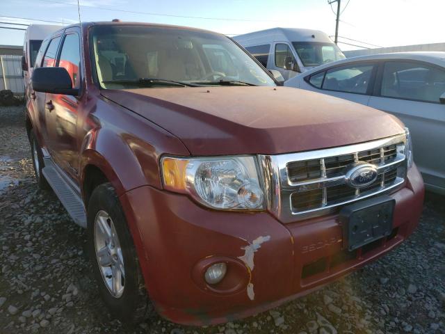 FORD ESCAPE HYB 2011 1fmcu4k38bkb48965