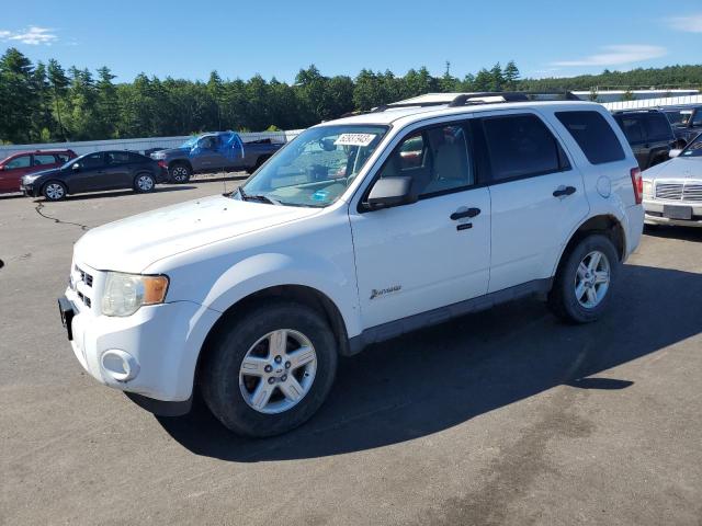 FORD ESCAPE HYB 2011 1fmcu4k38bkb75261