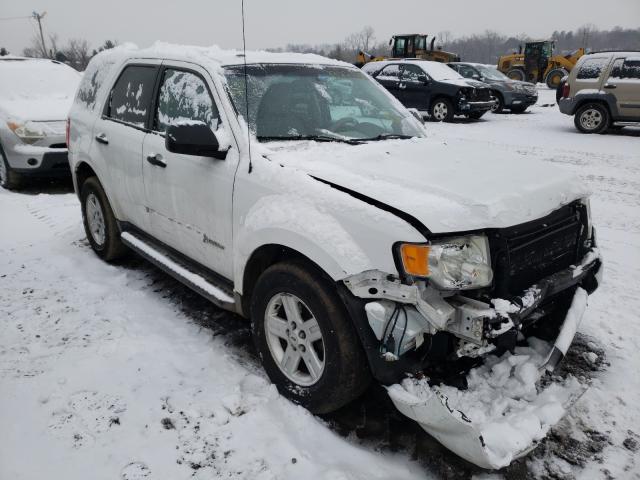 FORD ESCAPE HYB 2011 1fmcu4k39bkb53883