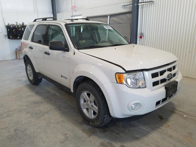 FORD ESCAPE HYB 2010 1fmcu4k3xakc48192