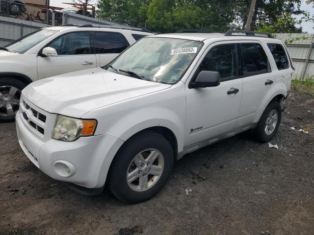 FORD ESCAPE HYB 2009 1fmcu59309kb80766