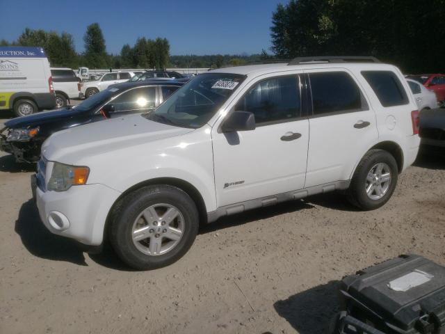 FORD ESCAPE HYB 2009 1fmcu59349kc39642