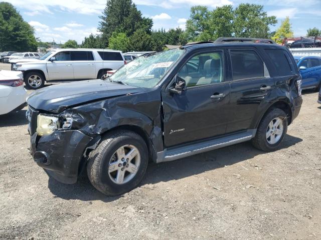 FORD ESCAPE HYB 2009 1fmcu59369ka80865