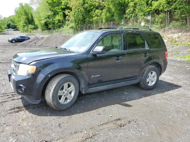 FORD ESCAPE 2009 1fmcu59369kb09006