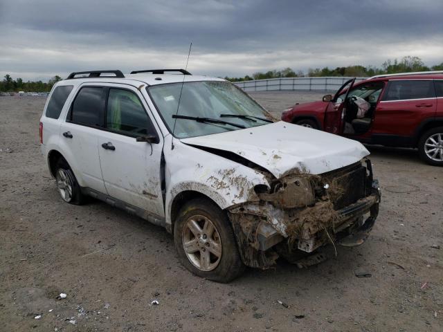 FORD ESCAPE HYB 2009 1fmcu59369kb40837