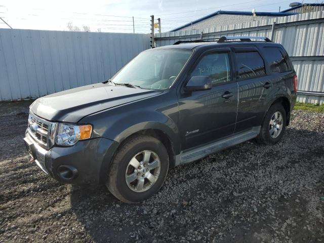 FORD ESCAPE 2009 1fmcu593x9kb53509