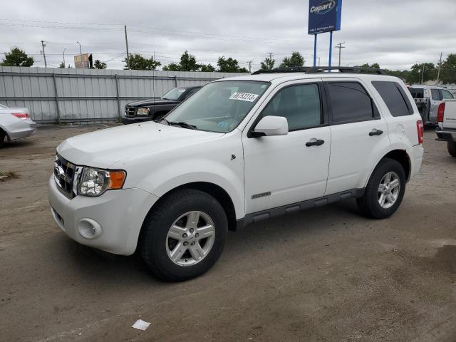 FORD ESCAPE HEV 2008 1fmcu59h28kc63206