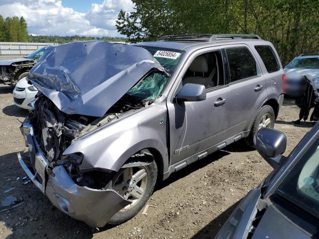 FORD ESCAPE 2008 1fmcu59hx8kc79735