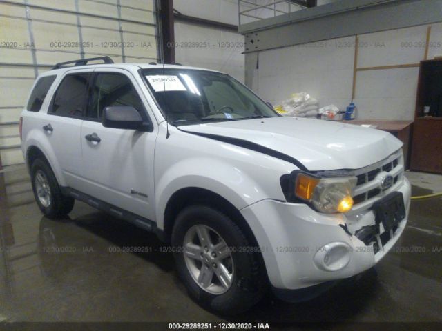 FORD ESCAPE 2010 1fmcu5k31akc79630