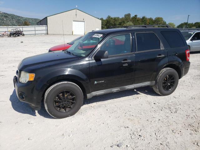 FORD ESCAPE HYB 2011 1fmcu5k31bka09668