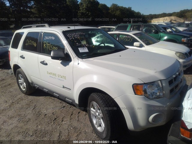 FORD ESCAPE 2011 1fmcu5k31bkb08815