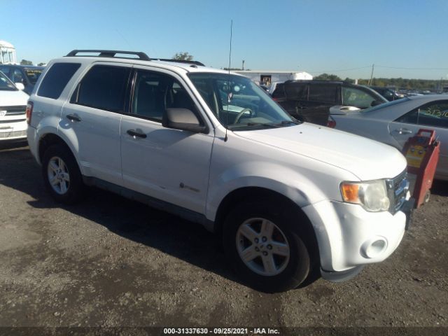 FORD ESCAPE 2010 1fmcu5k33aka29306