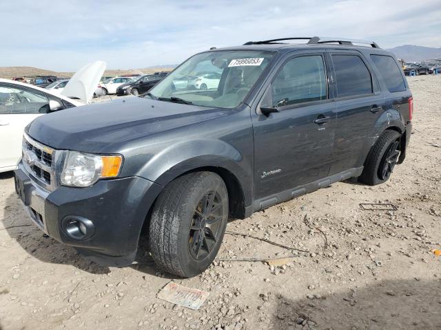 FORD ESCAPE 2010 1fmcu5k34akb56744