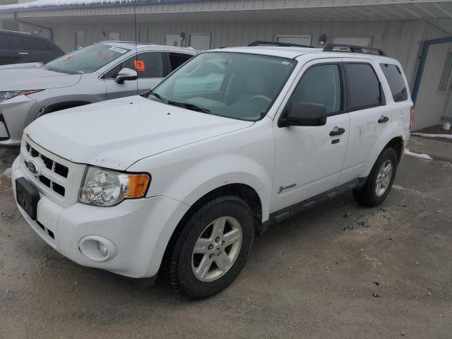 FORD ESCAPE 2011 1fmcu5k35bkb48816