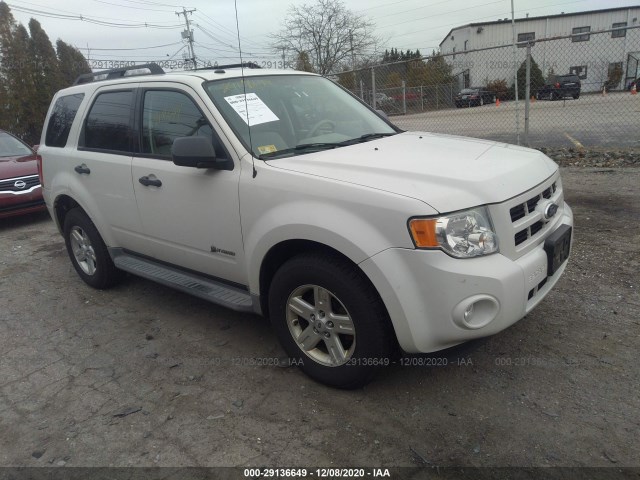 FORD ESCAPE 2010 1fmcu5k37akb80844