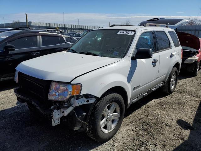 FORD ESCAPE HYB 2010 1fmcu5k39akc05680