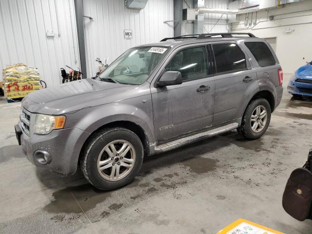 FORD ESCAPE XLT 2008 1fmcu93148ke44035