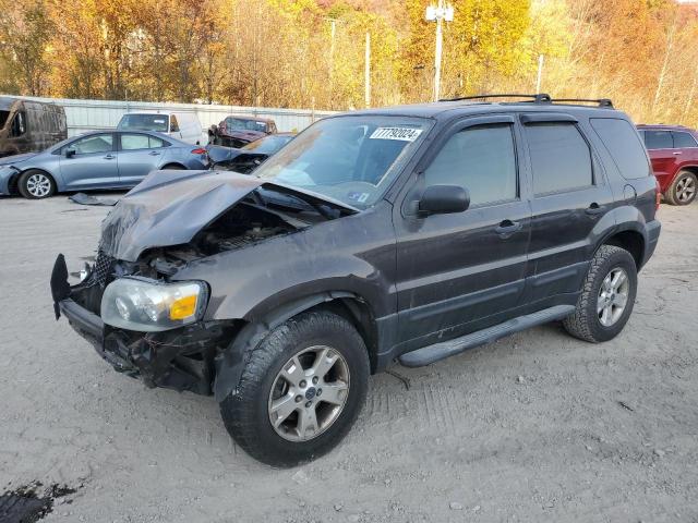 FORD ESCAPE 2006 1fmcu93166kd11631