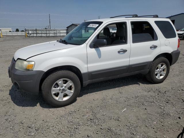 FORD ESCAPE 2006 1fmcu93176kc62455