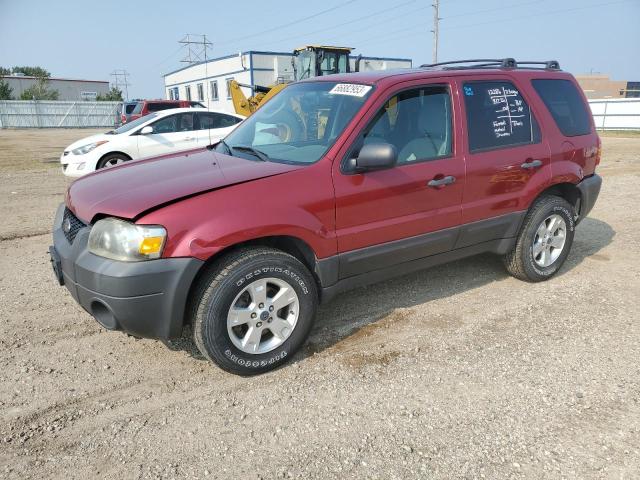 FORD ESCAPE 2006 1fmcu93176kd35775