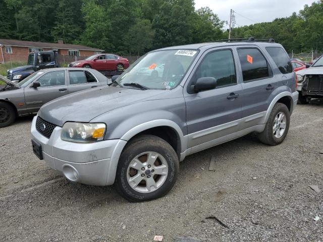 FORD ESCAPE XLT 2007 1fmcu93177kb79285