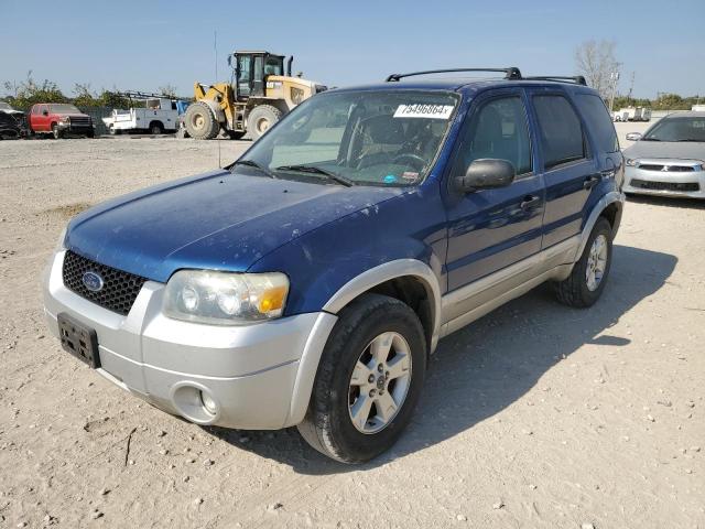 FORD ESCAPE XLT 2007 1fmcu93187ka43621