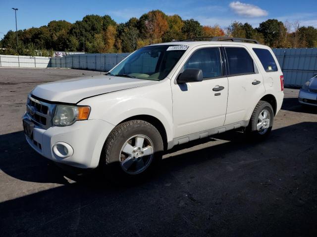 FORD ESCAPE 2009 1fmcu93g09kb11403