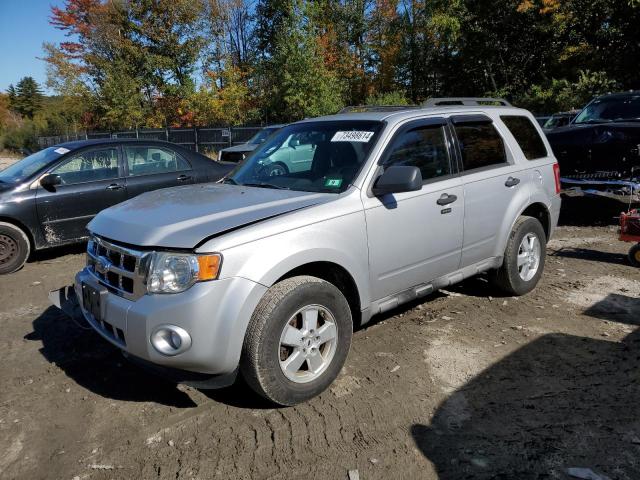 FORD ESCAPE XLT 2009 1fmcu93g29kb11208