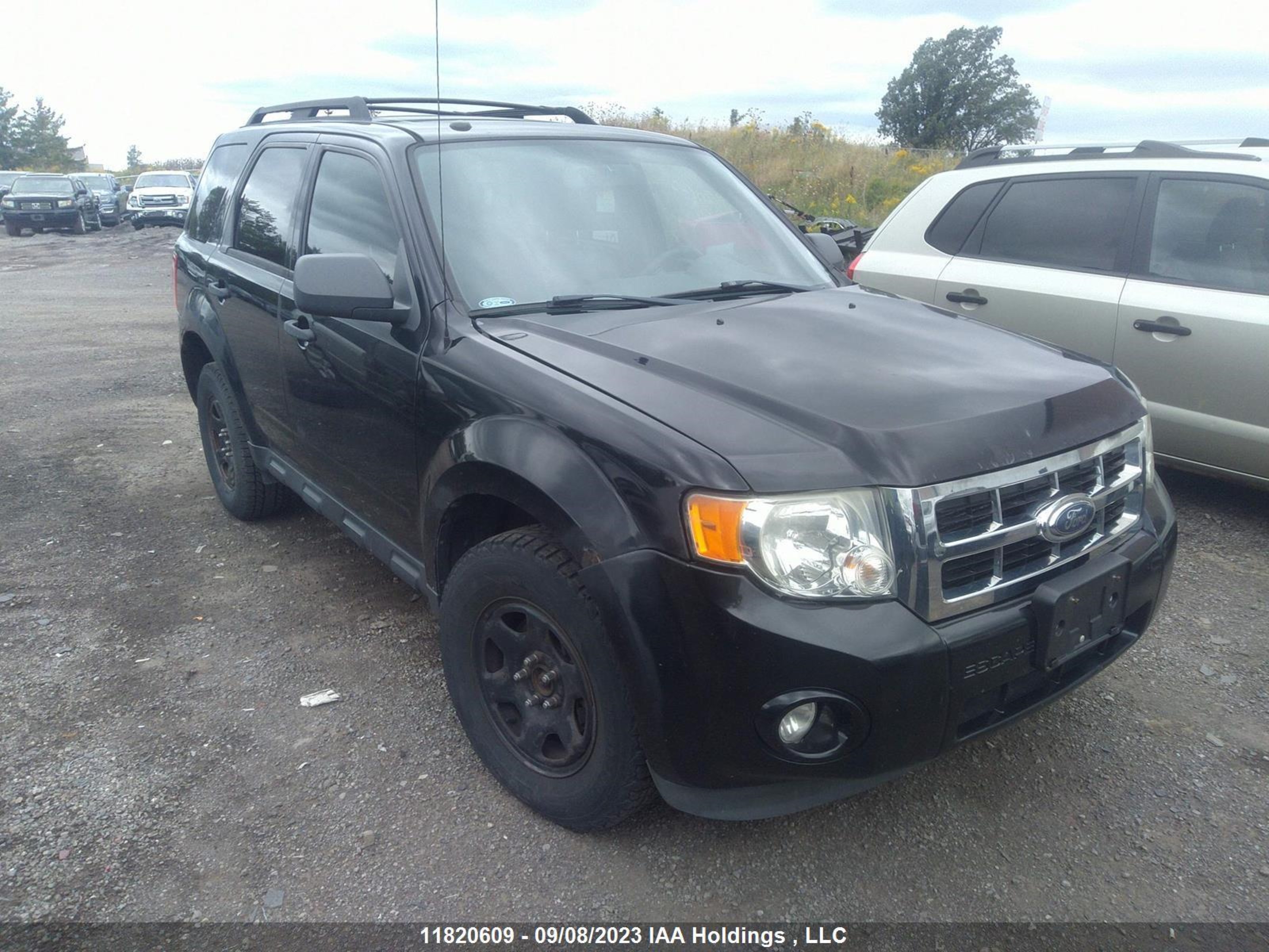 FORD ESCAPE 2009 1fmcu93g39ka01221