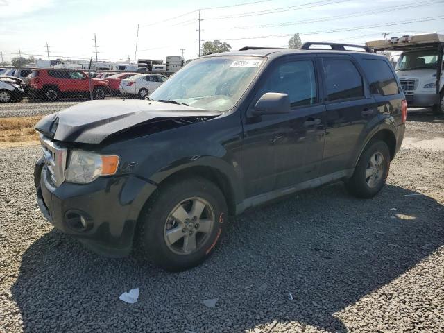 FORD ESCAPE XLT 2009 1fmcu93g49ka56888