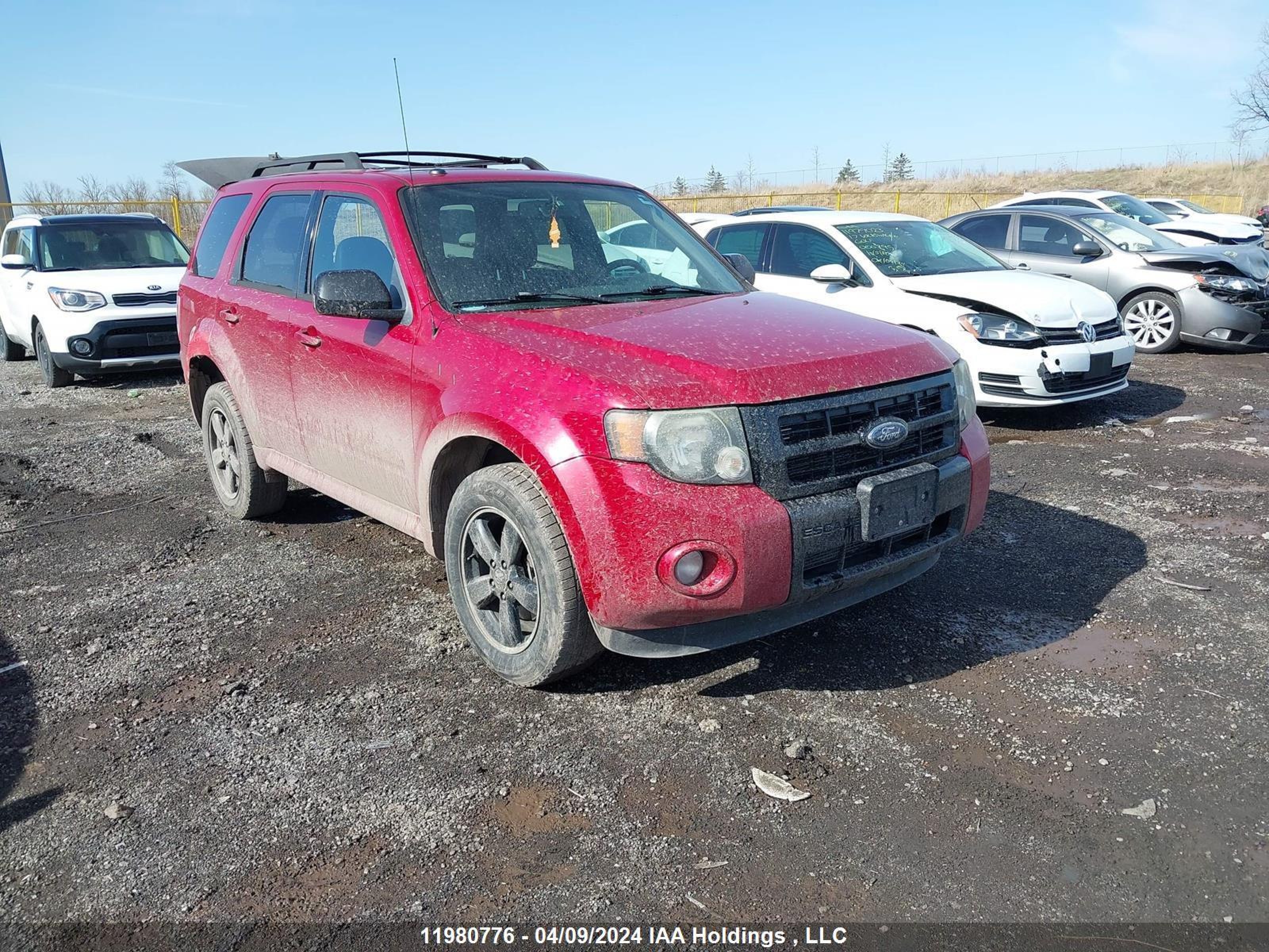 FORD ESCAPE 2009 1fmcu93g69kd13162