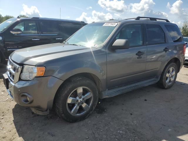 FORD ESCAPE XLT 2009 1fmcu93g79ka02405