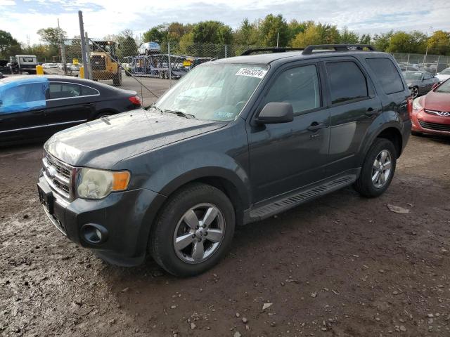 FORD ESCAPE XLT 2009 1fmcu93g89ka56957