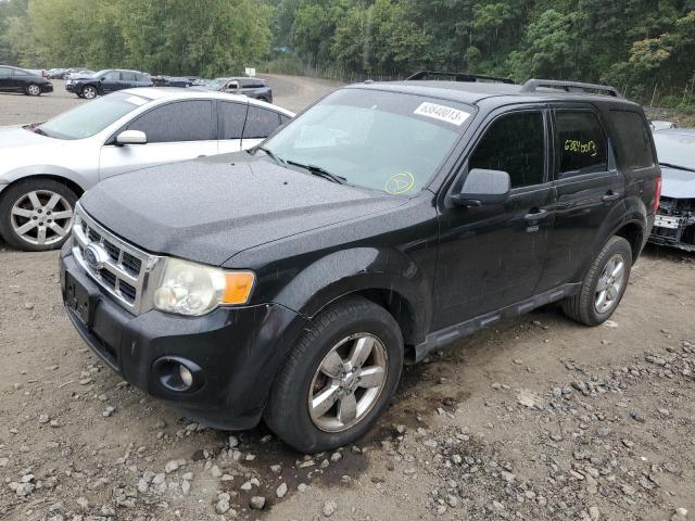 FORD ESCAPE XLT 2009 1fmcu93g89kc03388